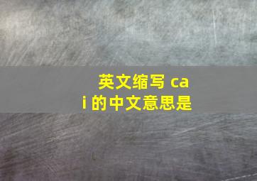 英文缩写 cai 的中文意思是